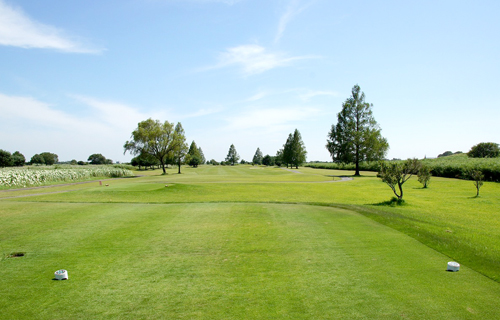Hole 11 写真
