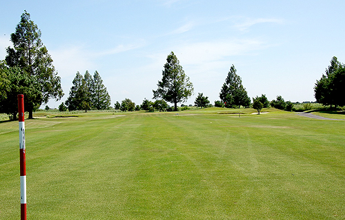 Hole 11 写真