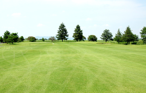 Hole 14 写真
