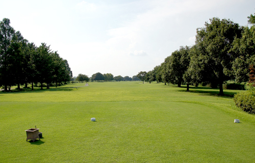 Hole 8 写真
