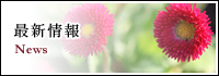 最新情報
